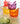 BACI MILANO SET 6 COPPETTE GELATO COLORI ASSORTITI CODICE STICE.BAR01