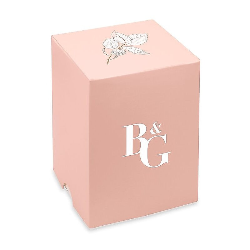 B&G  orologio solo tempo donna B&G Luxury CODICE: R3853241522
